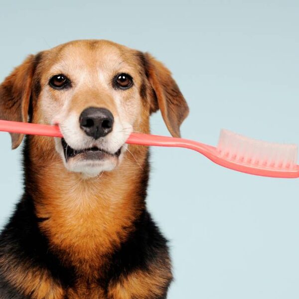 Working After Retirement